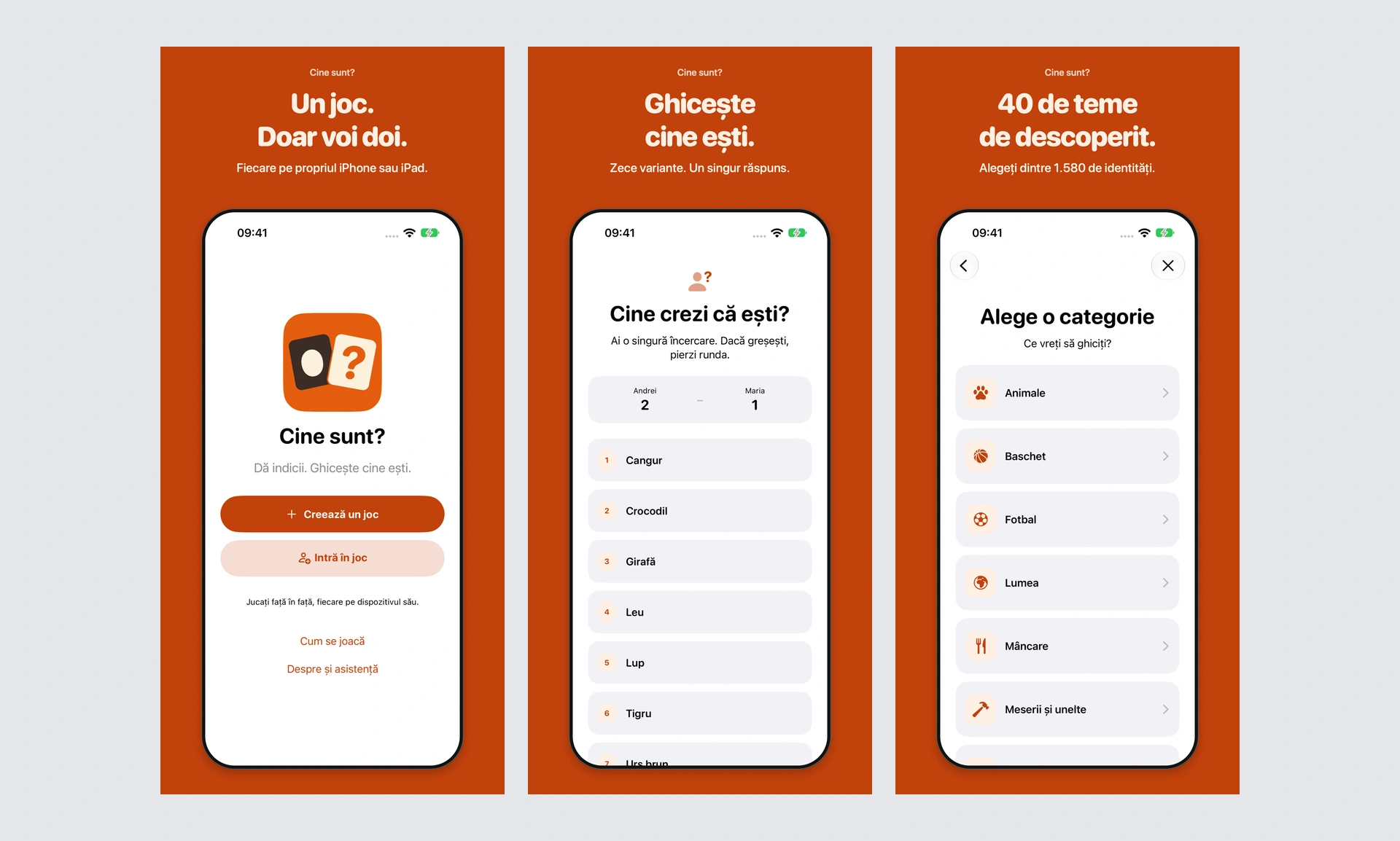 Cine sunt? release artwork with its orange background and paired identity cards